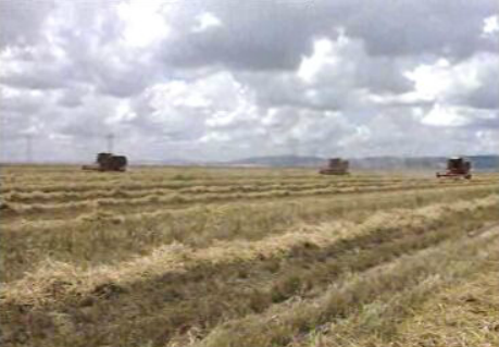 Plano de Desenvolvimento Regional