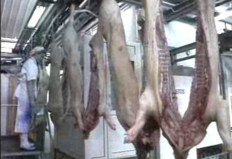 Carne suína nacional