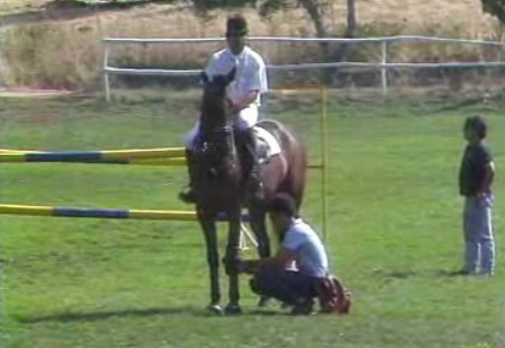 Hipismo: Concurso Nacional de Saltos