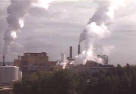 Empresa de celulose multada