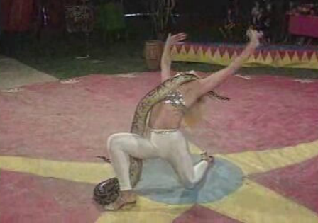 Crónica da Terra: Circo Adriático