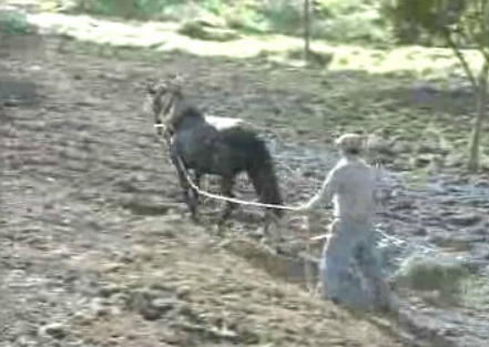 Campanha para as Autárquicas em Évora