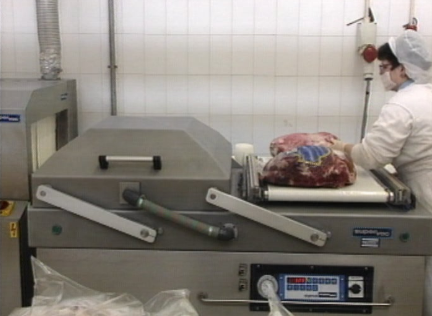 Portugal proibido de exportar porcos