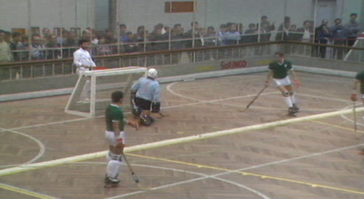 Hóquei em Patins: Quimigal vs Benfica