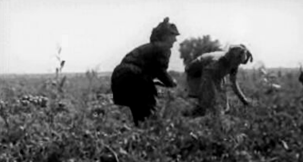 De Sol a Sol – Parte II