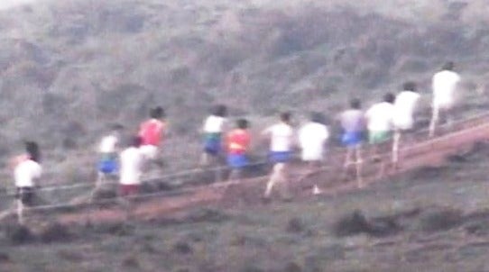 Atletismo: Cross Internacional de Odivelas