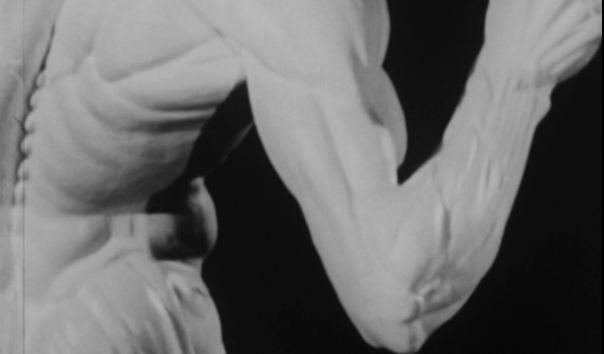 A Distensão Muscular e a Entorse