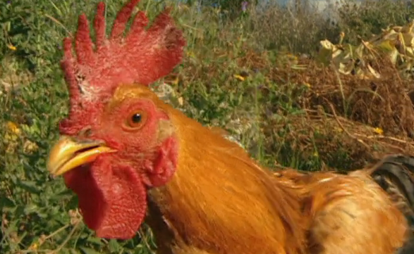 Homens e Mulheres – Parte III