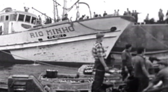 Movimento – Parte I