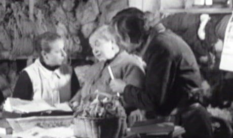 Movimento – Parte II