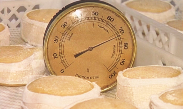 Palmela – Quinta do Anjo