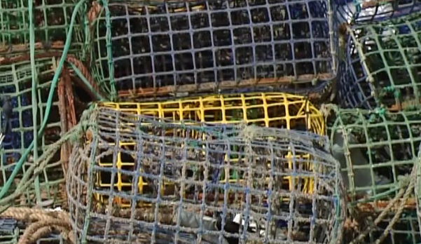 Tavira, a Capital do Polvo