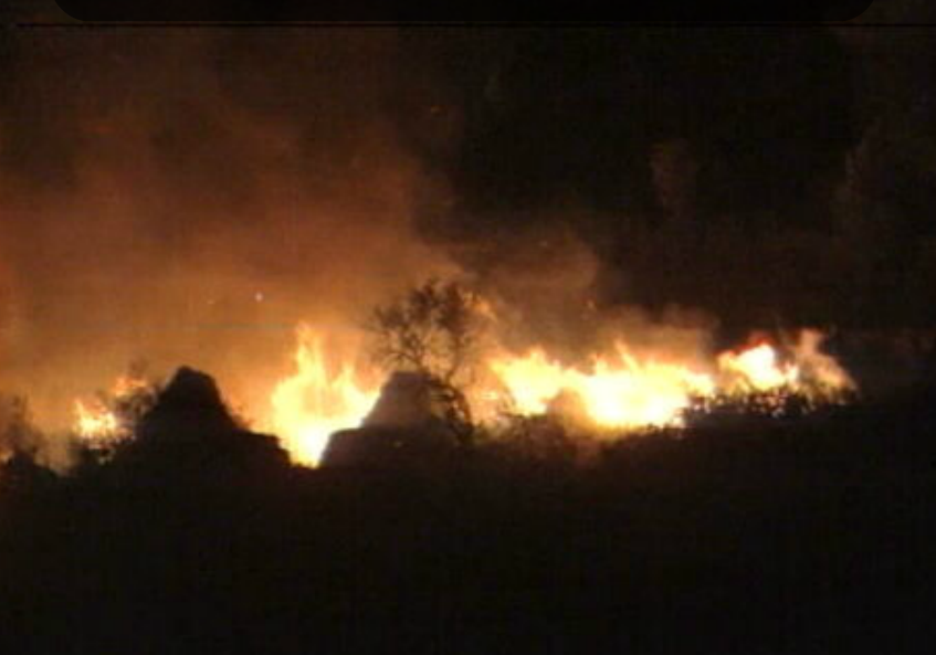Conferência Internacional de Fogos Florestais