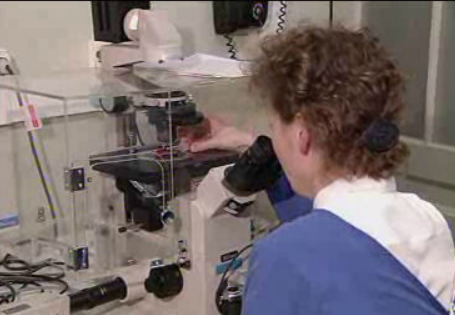 Gravidez depois da menopausa