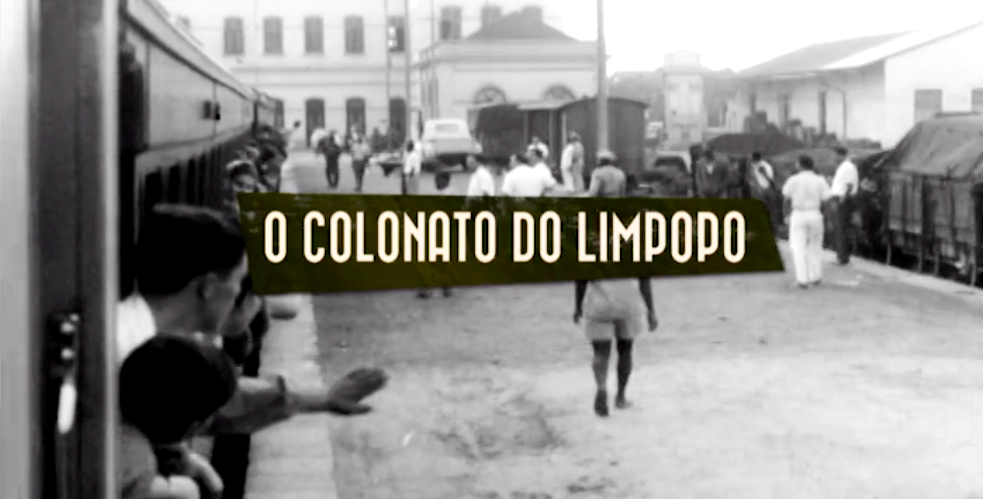 O Colonato do Limpopo