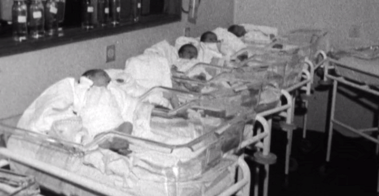 A Dietética e os Alimentos dos Primeiros Meses de Vida