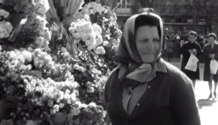 O Voto das Mulheres – Parte II