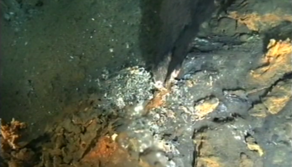 A Vida em Condições Extremas