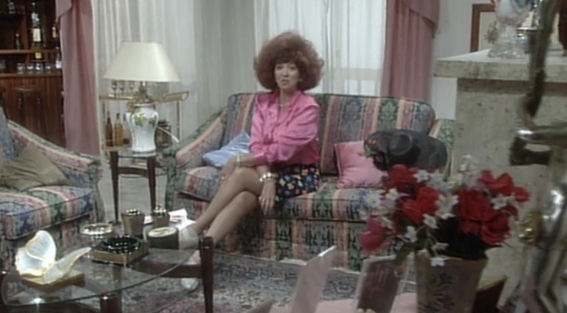 A Mulher do Sr. Ministro – Parte II