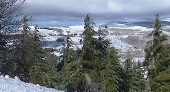 No Coração da Estrela