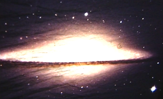 A Ciência Vai à Escola