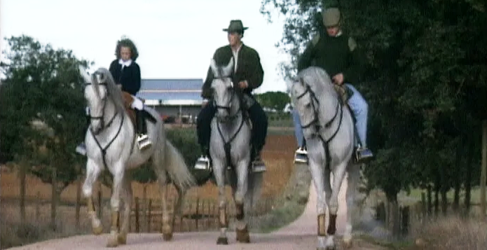 Super Bebés – Parte II