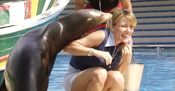 Super Bebés – Parte II