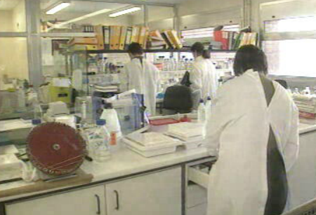 Cancro no estômago aumenta em Portugal