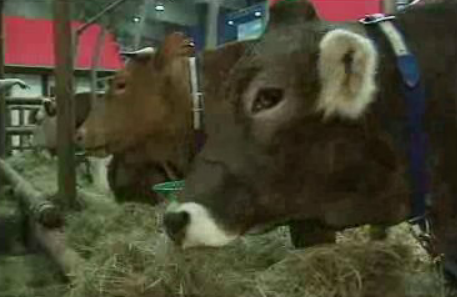 Feira Internacional de Alimentos em Berlim