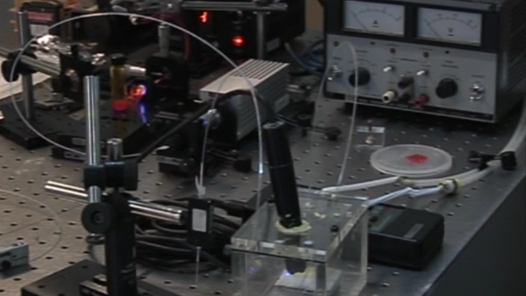 As Fibras Óticas e as Redes de Bragg