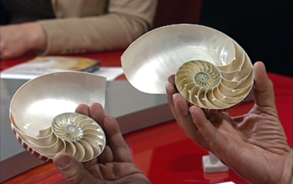 A Ciência no “O Código da Vinci”