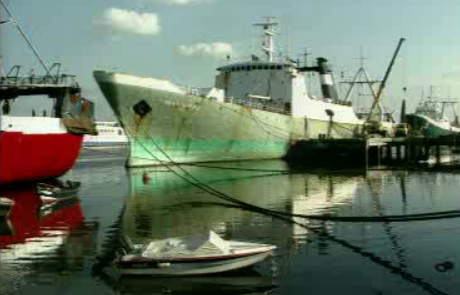 Viana do Castelo sem pesca industrial