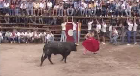 Governo contra touros de morte em Barrancos