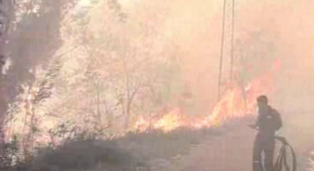 Incêndio em Castro Daire