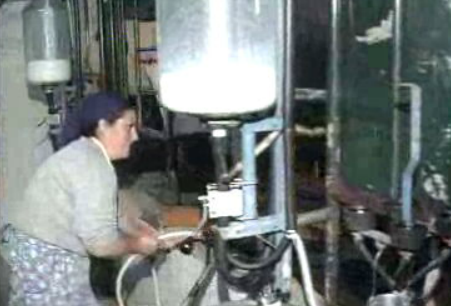 Protesto dos produtores de leite