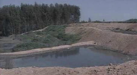 Poluição industrial na Serra de Sicó