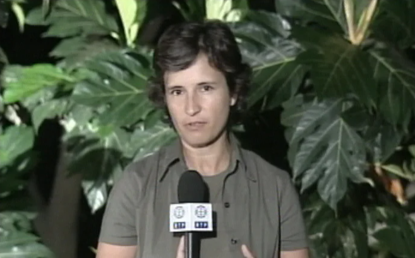 Chegada de tropas portuguesas a Díli