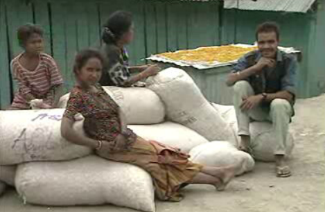 Relatório sobre Timor-Leste