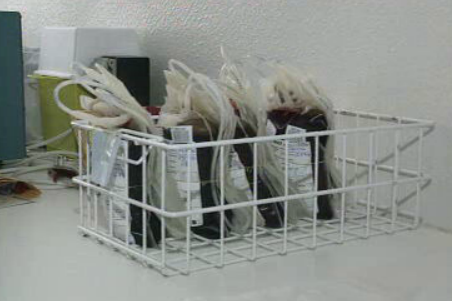 Doença das Vacas Loucas