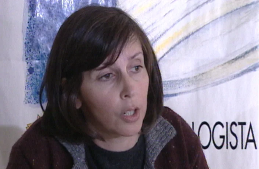 Os Verdes criticam o Governo