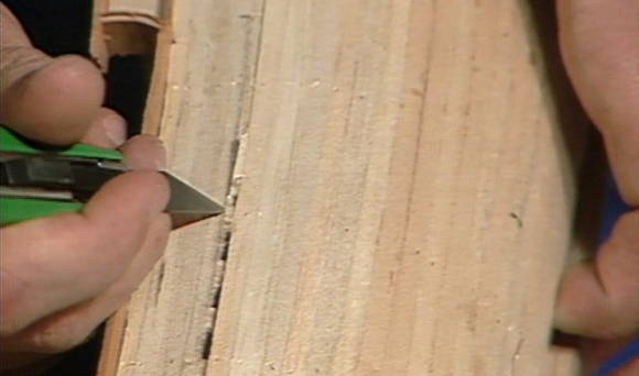 Caravela Latina de Bartolomeu Dias