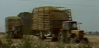 Situação Social e Económica na Polónia – Parte I