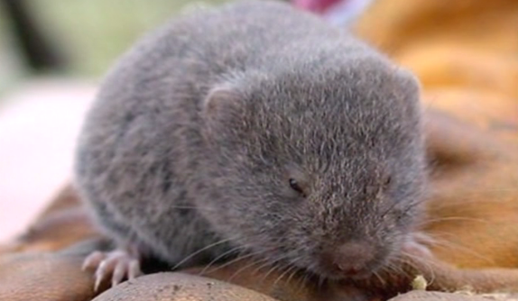 Educação e a Motivação no Ensino