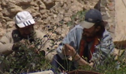 Ex-Toxicodependentes