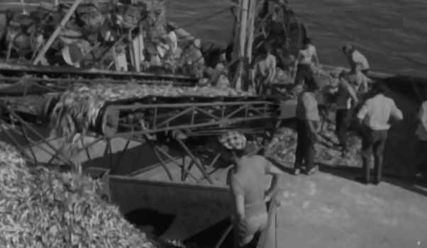 Pescadores de Setúbal