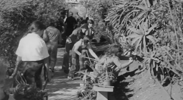 Sob o Signo da Renovação Escolar II