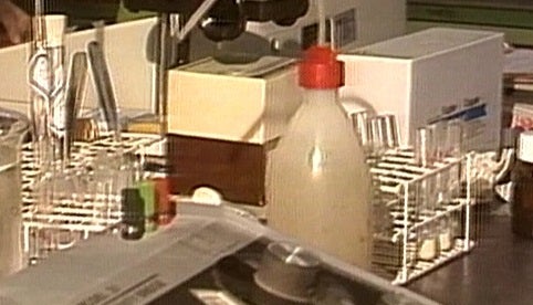 Doença dos pezinhos: só a Esperança não morre! – Parte II