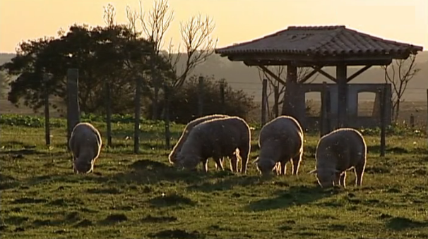 O Segredo – Episódio 34