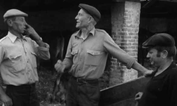 Produzir, depois Morrer: Crónicas do Capital