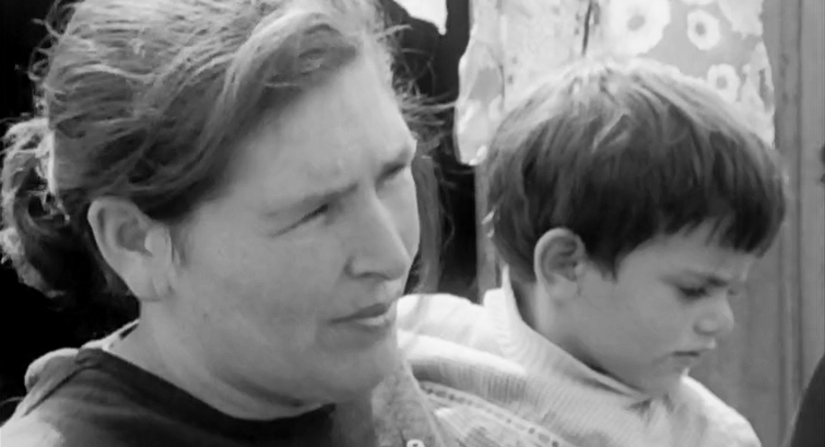 Viver Com… – Parte II